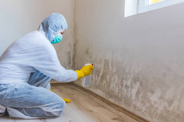 Licensed Bathroom Mold Removal service in Fairview, NC - Mold Remediation HQ