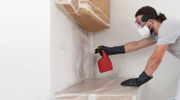Professional Bathroom Mold Removal technician working in Fairview, NC