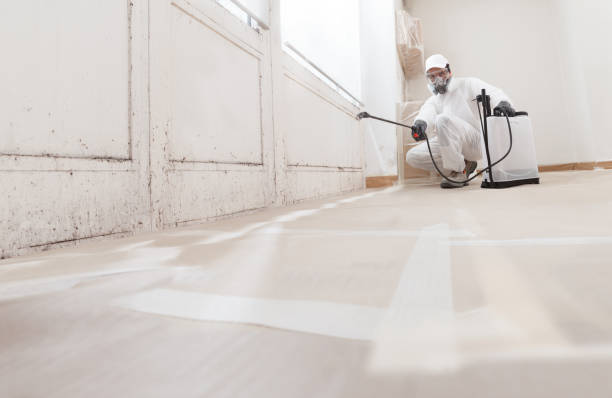 24/7 Emergency Bathroom Mold Removal experts in Fairview, NC