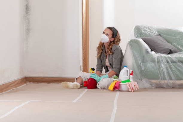 Reliable Bathroom Mold Removal contractor in Fairview, NC by Mold Remediation HQ
