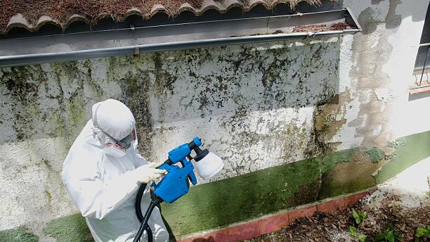 Top rated local Bathroom Mold Removal specialists in Fairview, NC